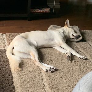 Meet your Posher, Clarissa